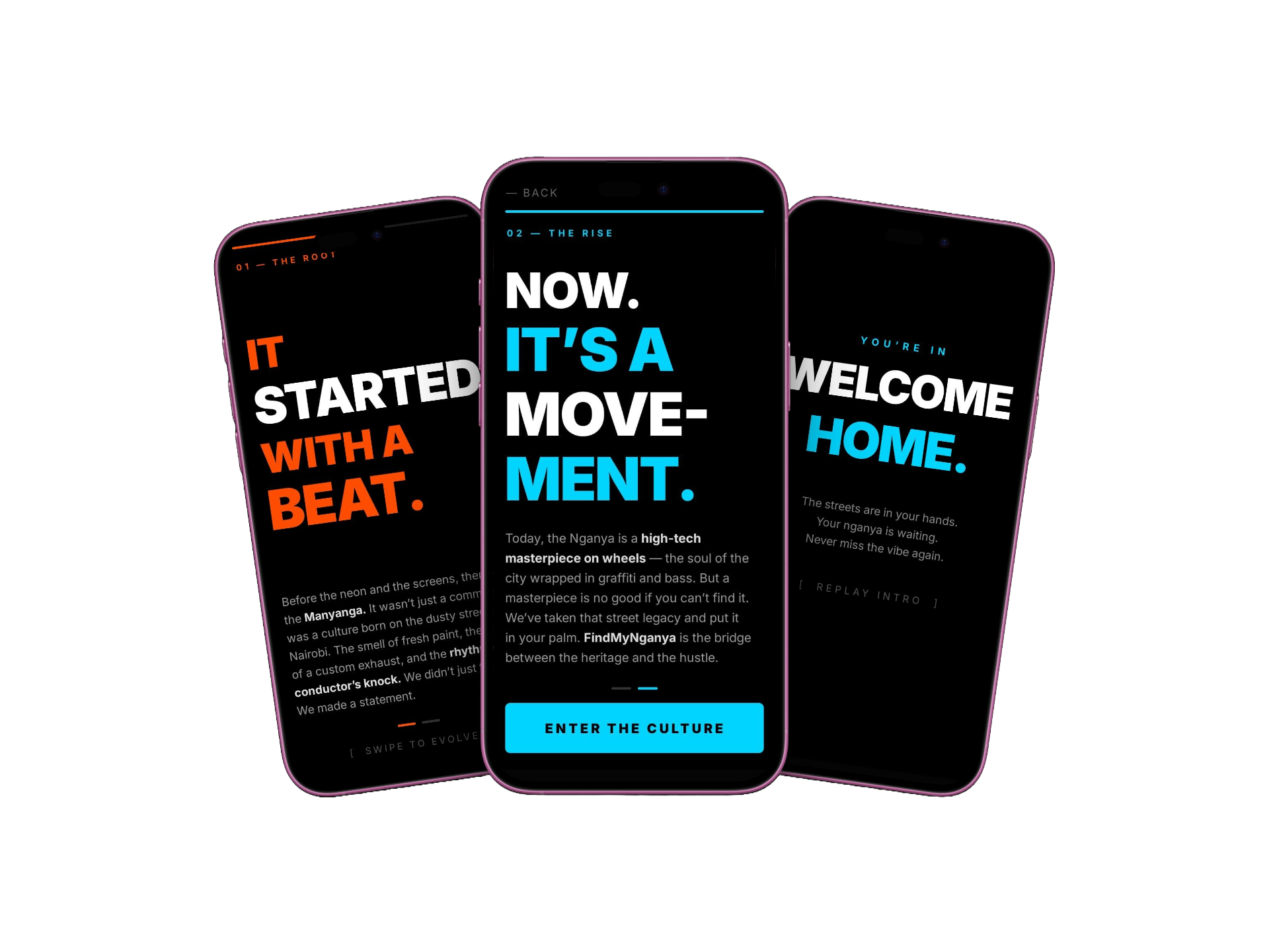 FindMyNganya app preview on mobile screens